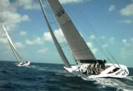 americas cup yacht race